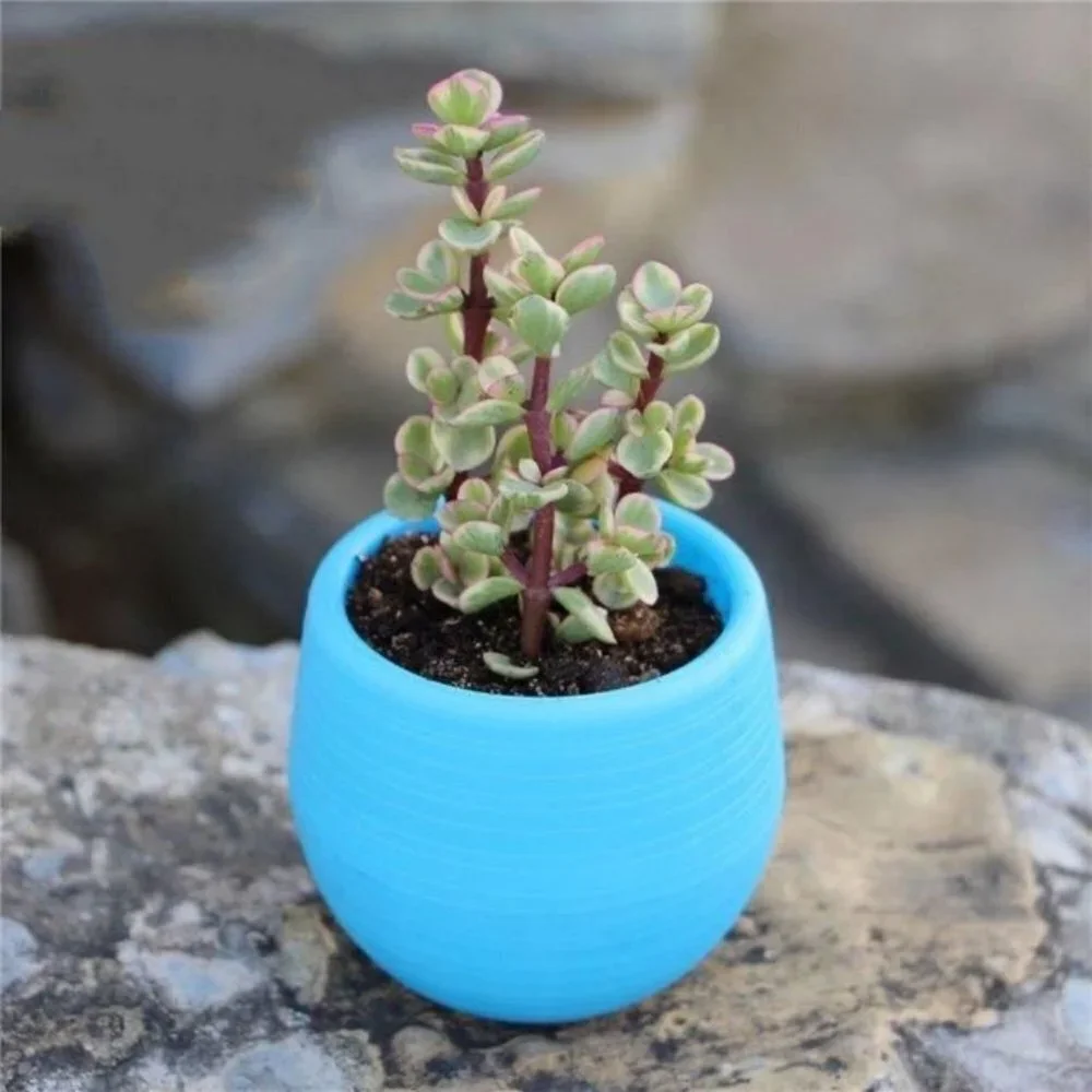 Unbreakable Blue Succulent Planter Pot